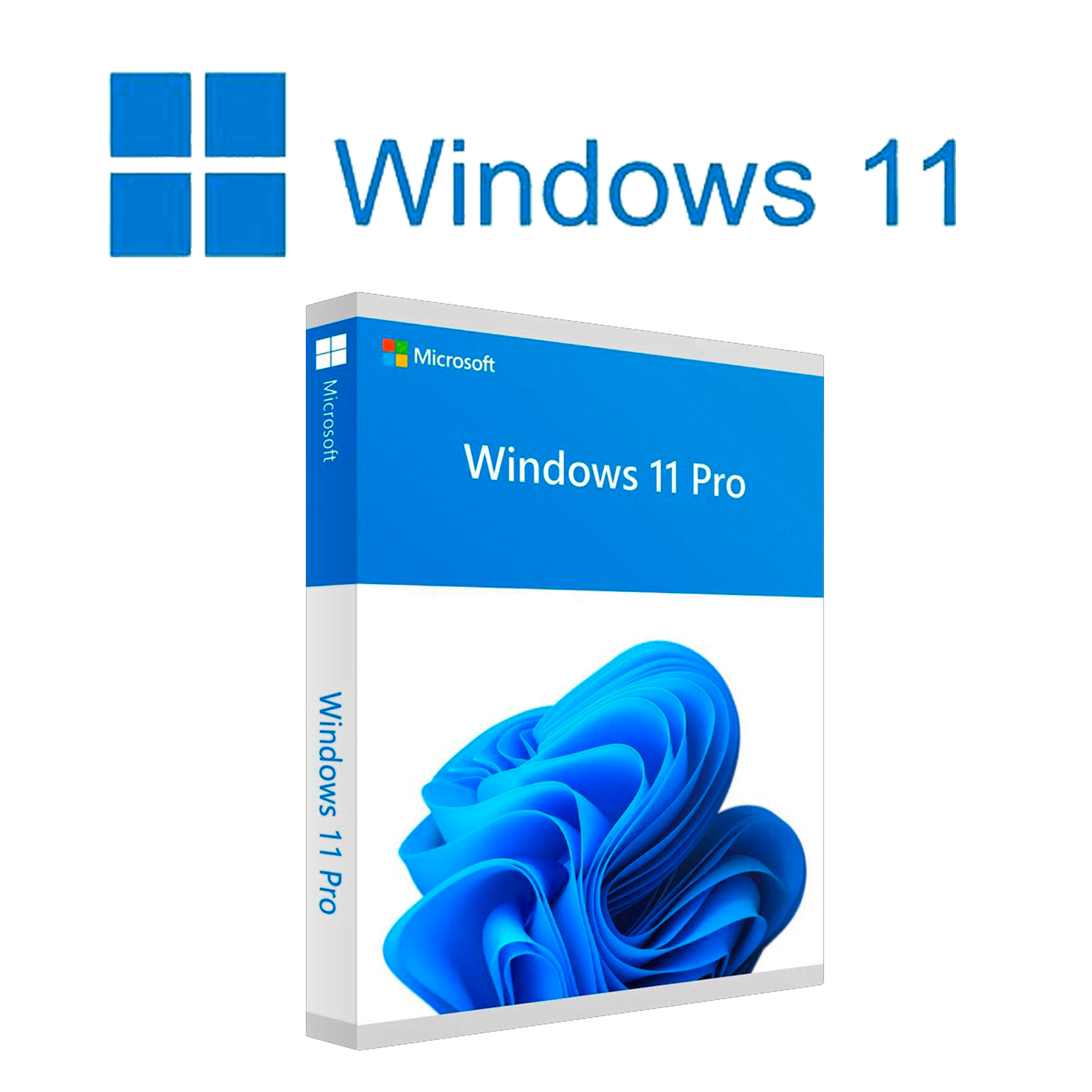 Windows 11 Pro